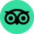 Trip Advisor icon