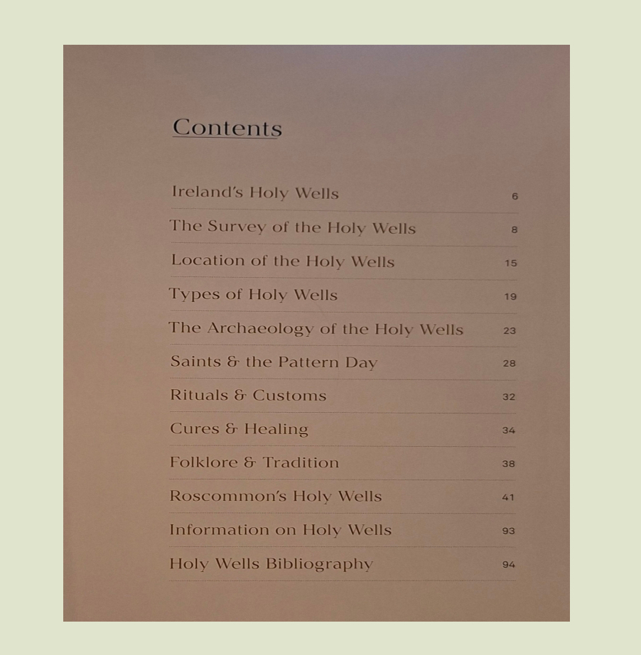 Roscommon's Holy Wells - Tamlyn McHugh - Image 2