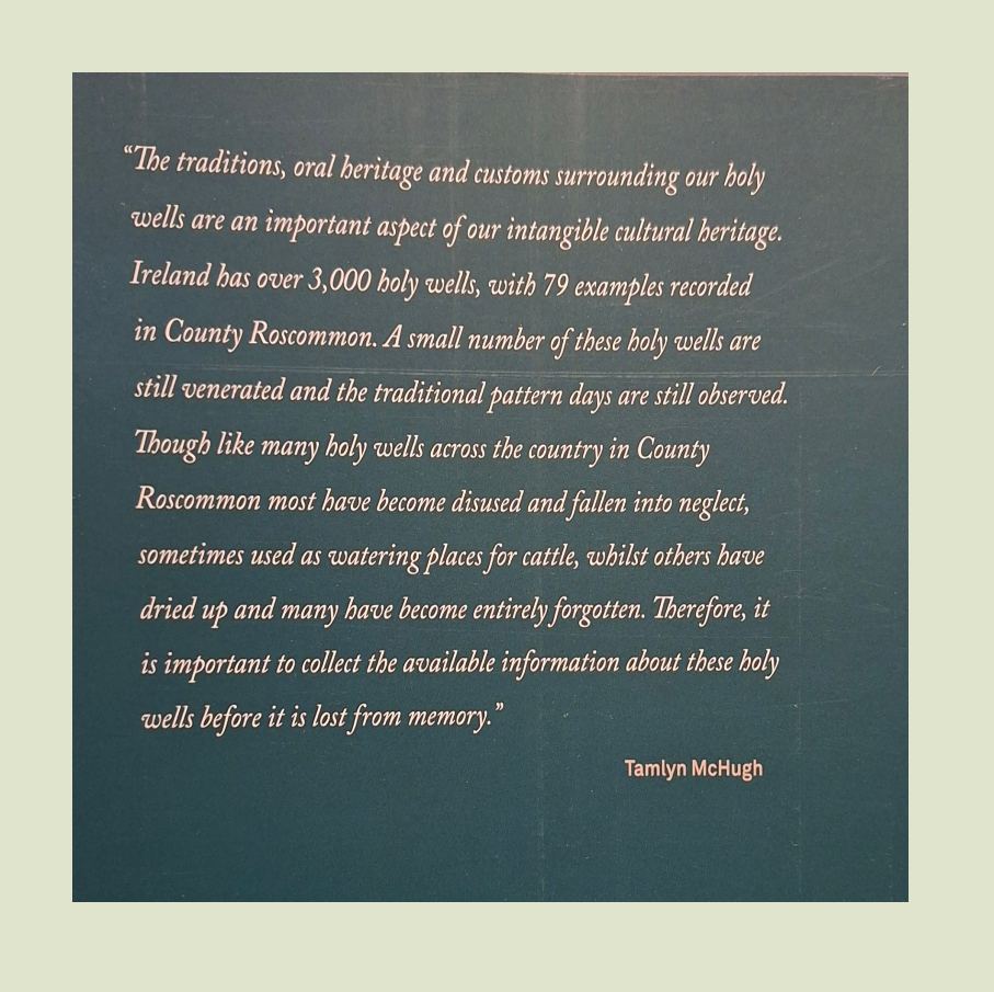 Roscommon's Holy Wells - Tamlyn McHugh - Image 3