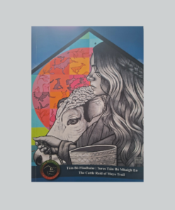 Táin Bó Fliodhaise / Turas Táin Bó Mhaigh Eo